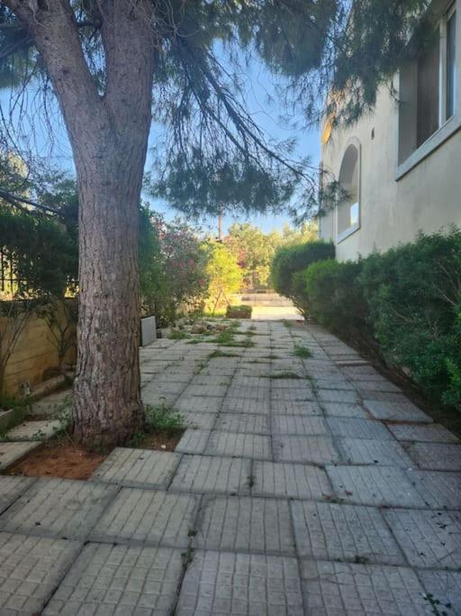Ferienwohnung Peaceful Oasis Athen Exterior foto
